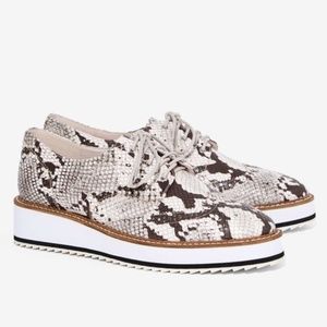 NiB Shellys London Emma Leather Oxford Platform